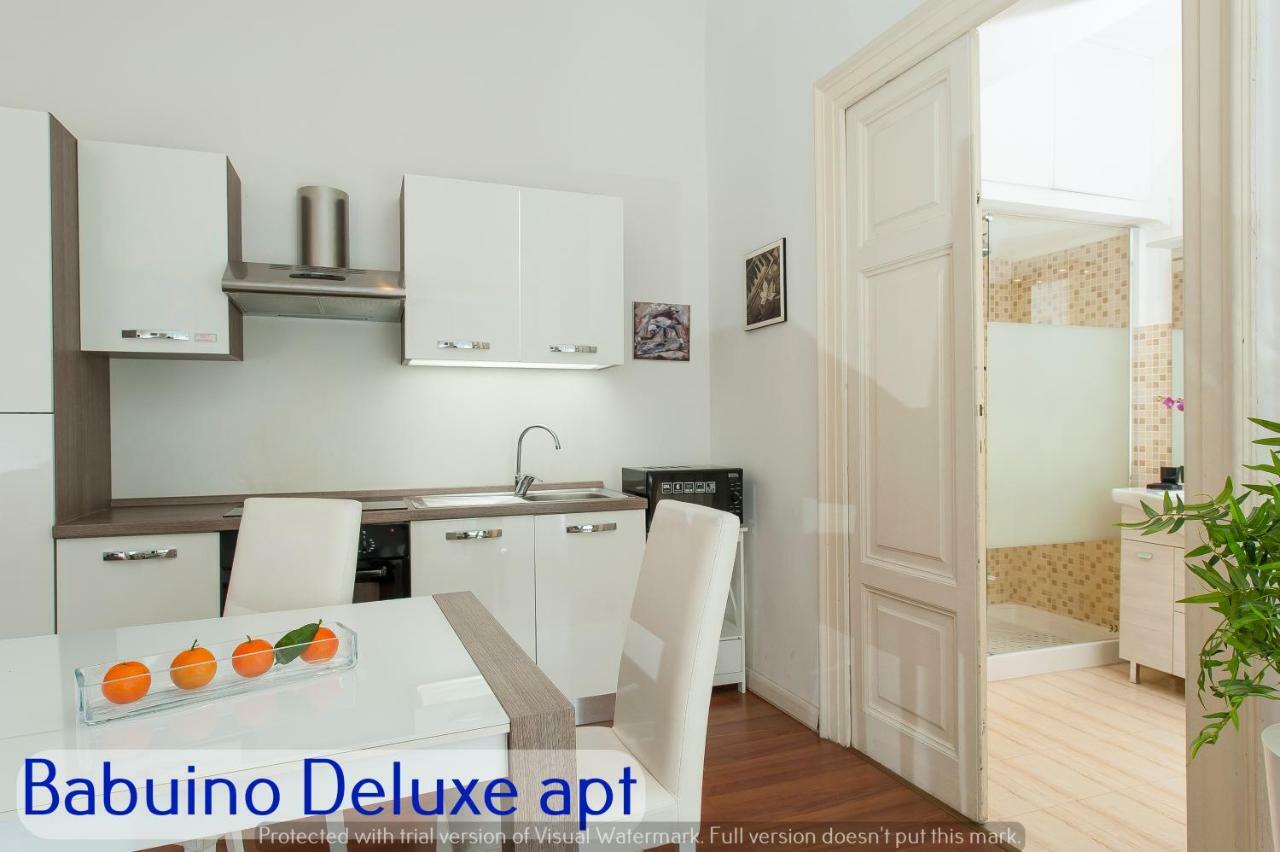 Babuino - Piazza Di Spagna Appartamento Roma